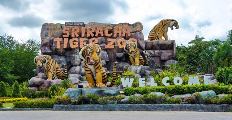 Vườn thú Sriracha Tiger Zoo, Thái Lan