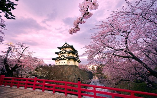 Tokyo - Núi Phú Sỹ - Kawaguchi - Nikko