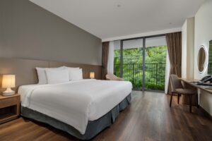 Deluxe Mountain View 2