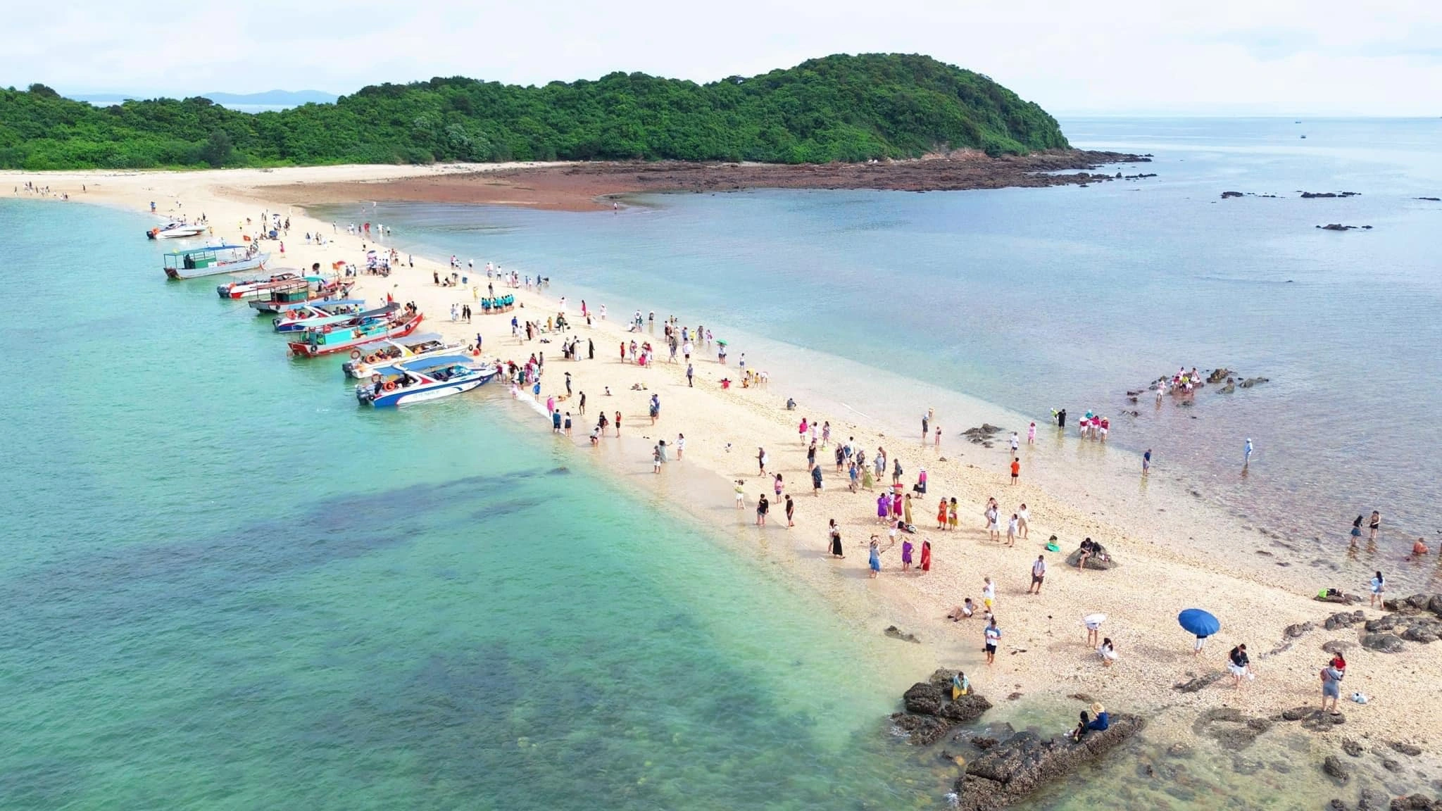 dao co to quang ninh