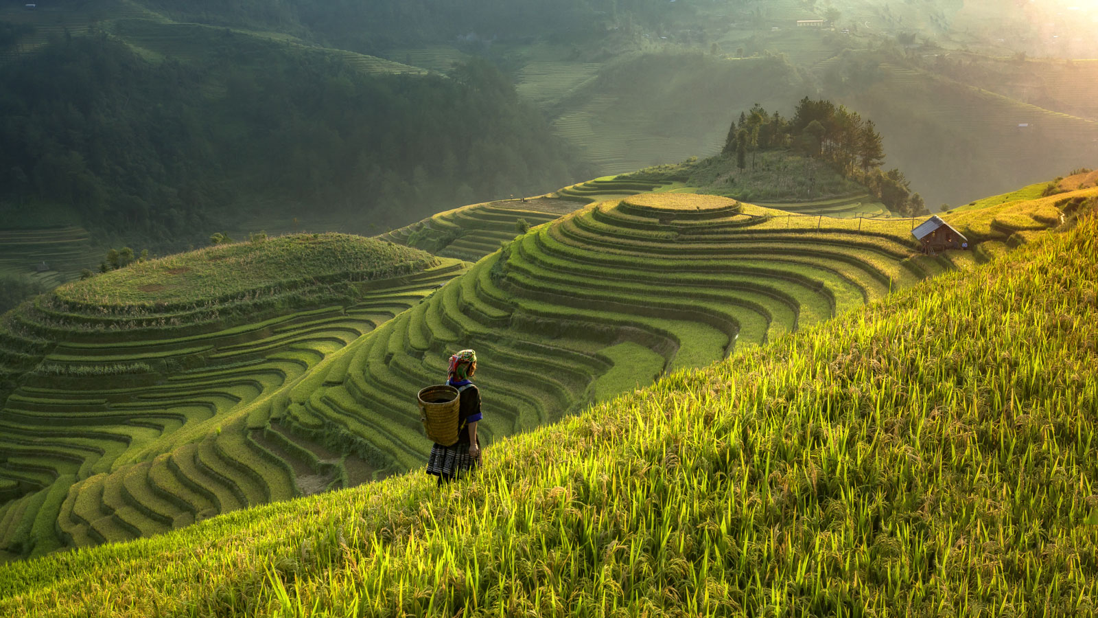 ruong bac thang