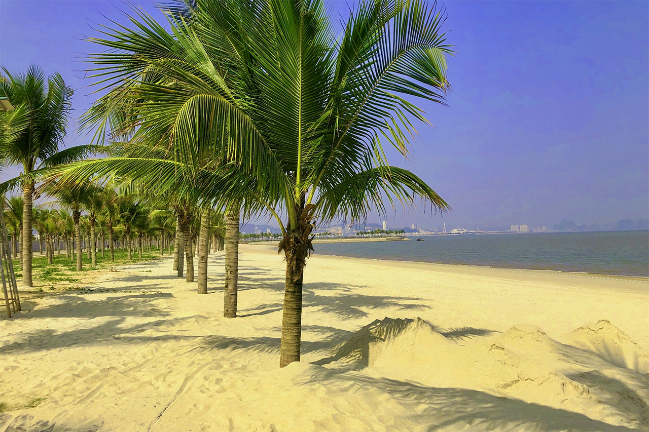 Cẩm nang nghỉ dưỡng Tuần Châu Resort: Lịch trình vui chơi giải trí và hướng dẫn đặt phòng từ đại lý uy tín 12 bai bien