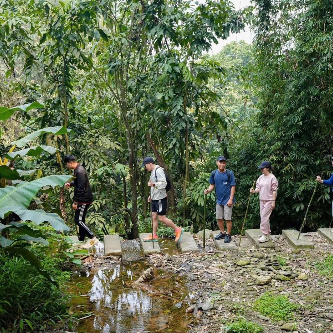 Địa điểm tổ chức Team Building lý tưởng gần Hà Nội cho doanh nghiệp: Tại sao chọn Amour Resort? 20 644813552 904004919283295 5046512202293133202 n