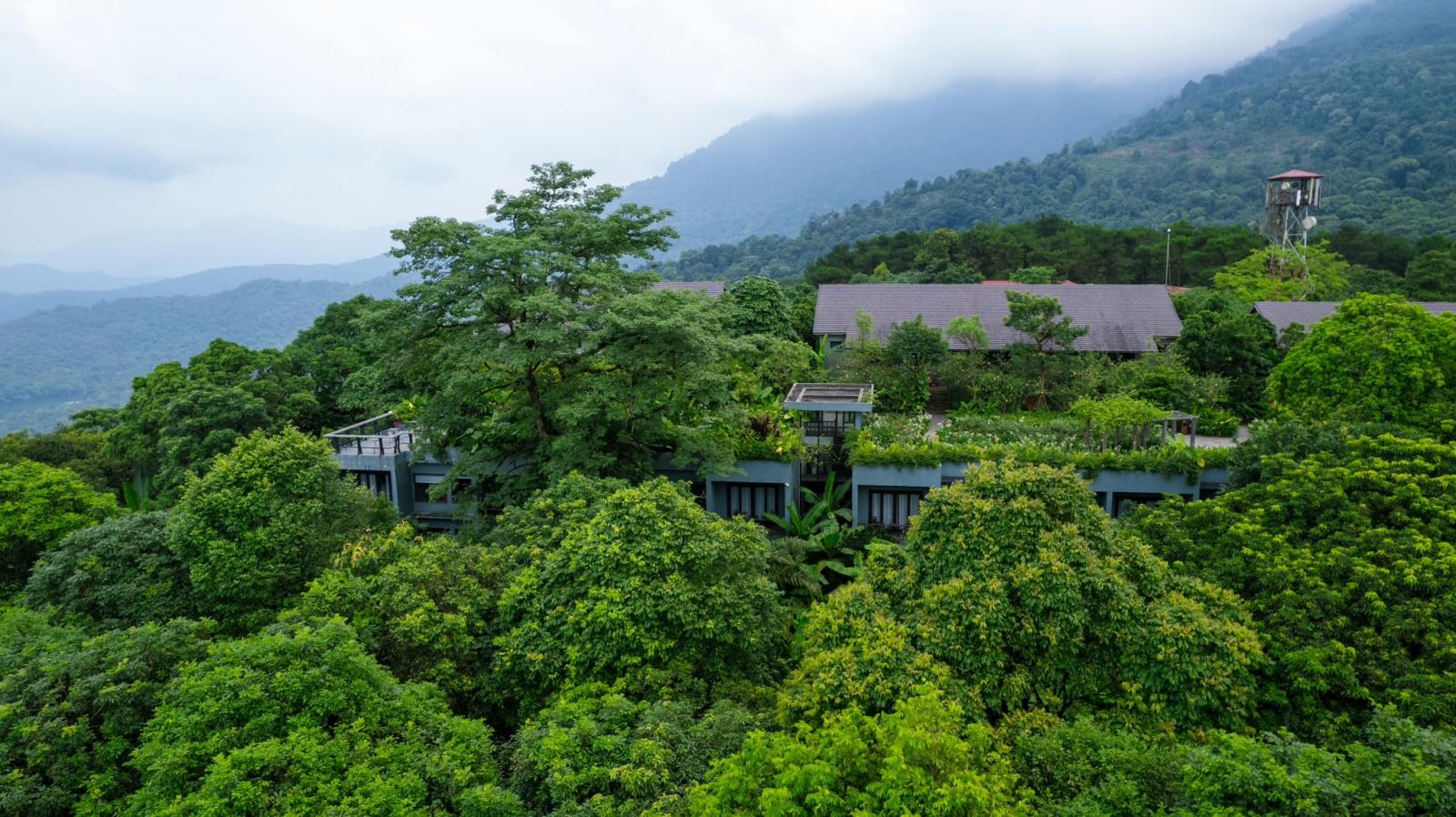 Top resort 5 sao gần Hà Nội dưới 1 tiếng di chuyển: Điểm đến lý tưởng cho những cuộc hội họp và nghi dưỡng ngắn ngày 23 Amour-Resort-Ba-Vi