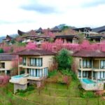 Garrya-Mu-Cang-Chai-phong-grand-deluxe-pool